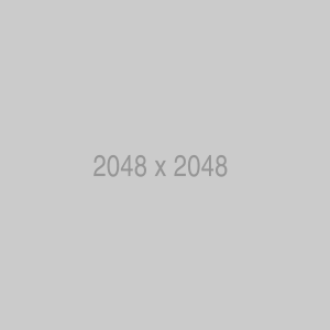 2048x2048 - Instagram Post Image