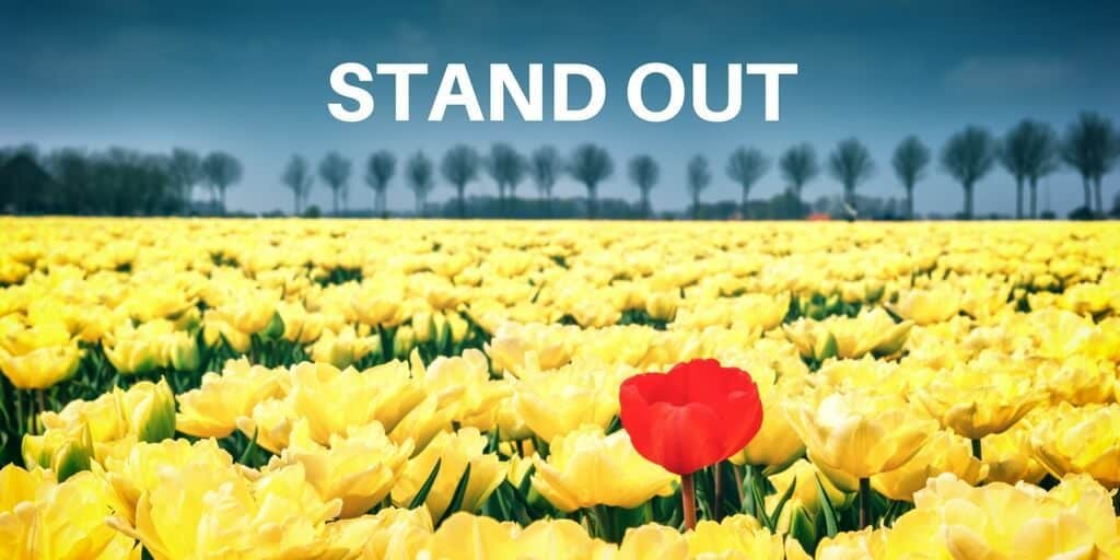 Red flower standing out in a field of yellow flowers: Make A Useful Small Business Website To Stand Out From The Crowd