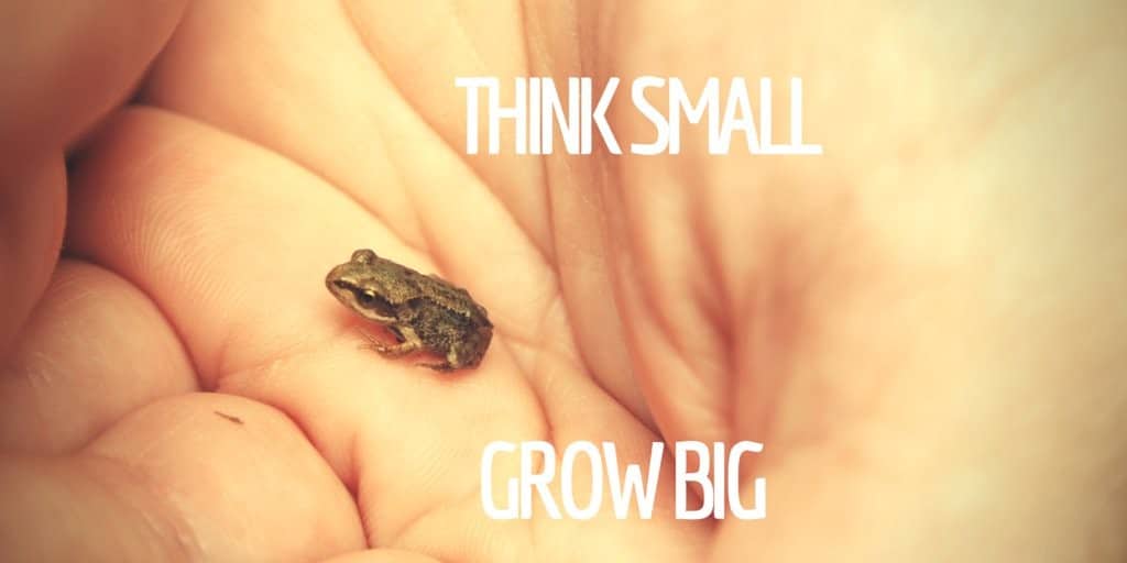 Little frog: think small, grow big.