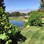 Winery Valley Pond