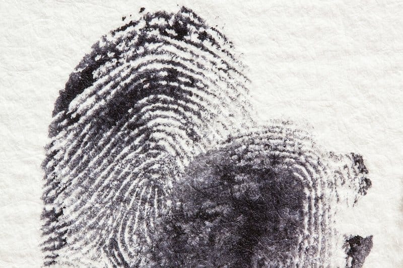 Unique Fingerprint: Find Personal Brand Website Examples For The Rest of Us